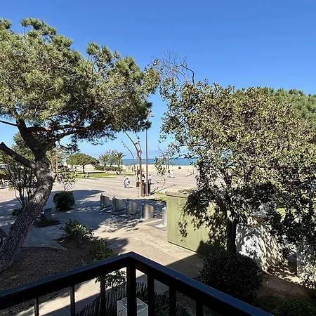 Apartment 2 Pieces, 3 Couchages, Centre-ville, Proche - Fr-1-225-372 Argeles-sur-Mer
